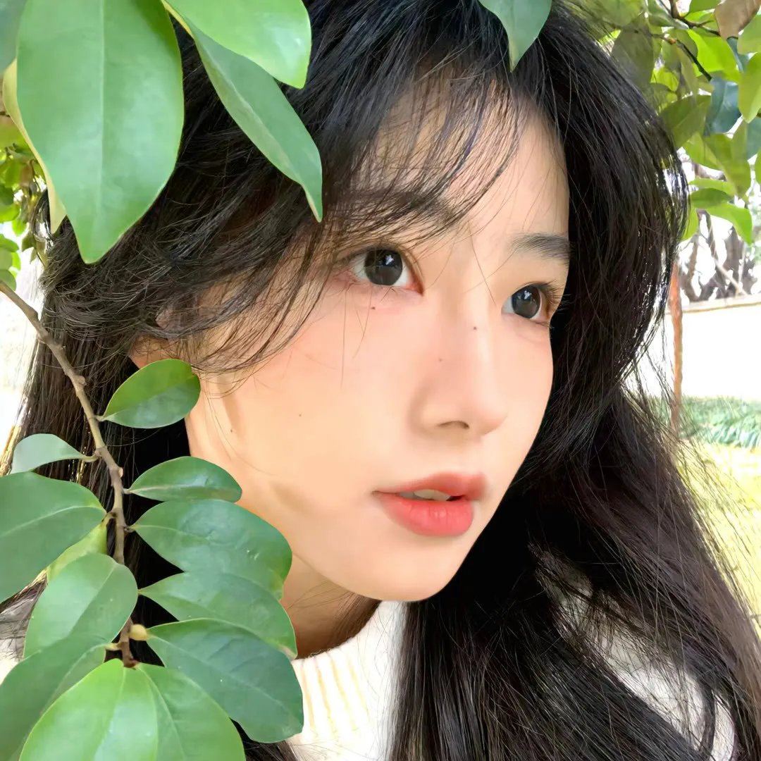 红色康拜因